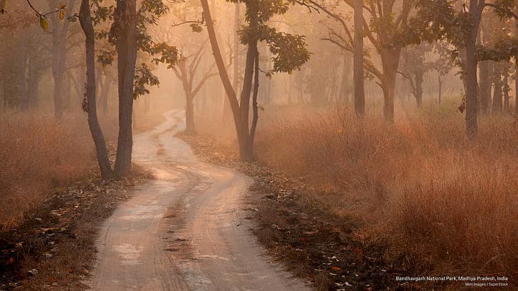 Madhya Pradesh